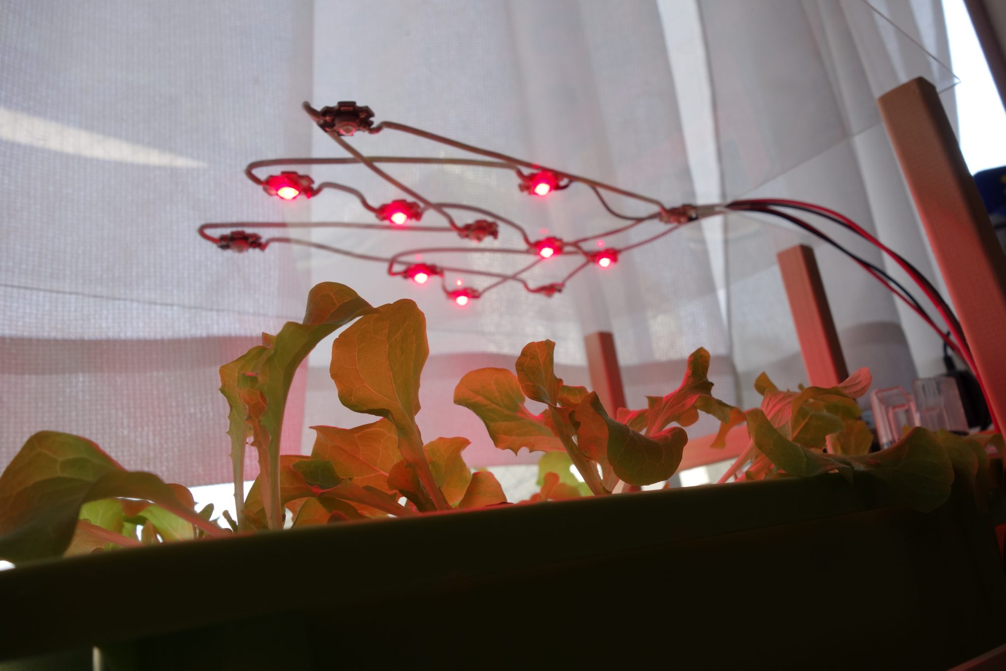 自作】水耕栽培用のLED照明の自作方法。 ｜ 自分でつくる。自宅で野菜を水耕栽培。